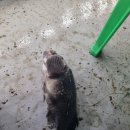 금곡낚시터 이미지