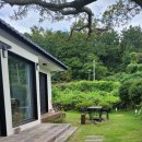 제주살가 이미지