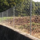 넝쿨 태양광발전소 이미지