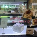 허니스티 펫 베이커리 이미지