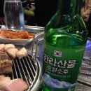 제주명돼지 이미지