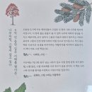 『나무 같은 사람이 되고 싶다』 독서후기 | 나무가 전하는 삶의 지혜와 베풂