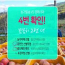 22번청과