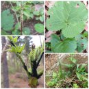 방글농장 이미지