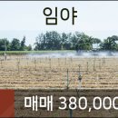 닥터민치과의원 네이버블로그