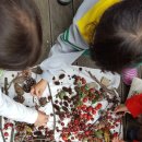 센텀항도유치원 이미지