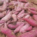 서여주세종영농조합법인 이미지