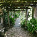 힐링(카페) 코스 이미지