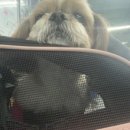 동물의왕국 동물병원 이미지