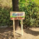 조동리선사유적박물관 이미지