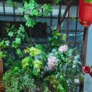 아마존플라워