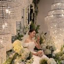 케이스크린 | Wedding Story Final. 신촌 케이터틀 라페네홀 예식 후기