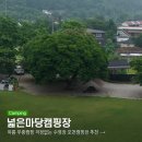 넓은마당캠핑장 이미지