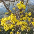 신장농장 이미지