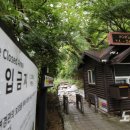 태풍문구