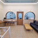 101 애견미용 이미지