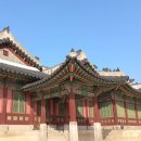 마마술잔 이미지