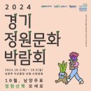 꼬테 이미지