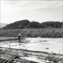 제두염전 이미지