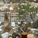 용천수카페