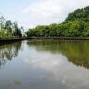 와우호수공원 이미지