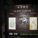 소호분교초등학교 이미지