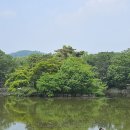 당지농장 이미지