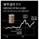 추이추이 이미지