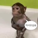 문썬마트 | 요즘 자주보는 블로그 추천