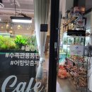 퐁당 아쿠아 카페 네이버블로그