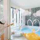 스테이다정 이미지