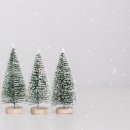 모세목장 이미지