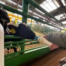 하성로 | 김포 연보람목장 아이랑 가볼만한곳 내돈내산후기