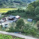 삼승면사무소 이미지