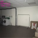 서귀동-2 이미지