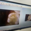 더푸른치과의원 이미지