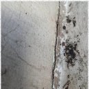 현대종합써비스 이미지