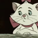 함평모란정 이미지