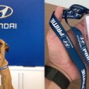 현대자동차 대리점 앞 이미지