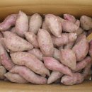 화산면611 이미지