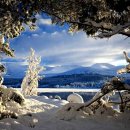 갤러리아호텔 이미지