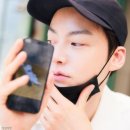 도그바라기 이미지