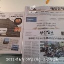 모닝온누리약국 이미지