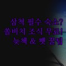 에이원모텔 | 쏠비치 리조트 뷔페 조식 무료 혜택 | 반려동물 동반 가능 에이원모텔 | 늦은 체크아웃 포함 실제 후기