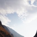 형제종축 이미지