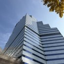 용산-92 | 신용산맛집 분위기 미쳤다... LS타워 맛집 ‘까미노 델 칸투스’ 방문 후기