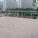치평초교 Daum카페