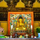 순천-13호 이미지