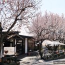 양주별산대놀이마당 공연장 이미지