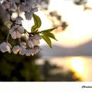 전망좋은곳 이미지